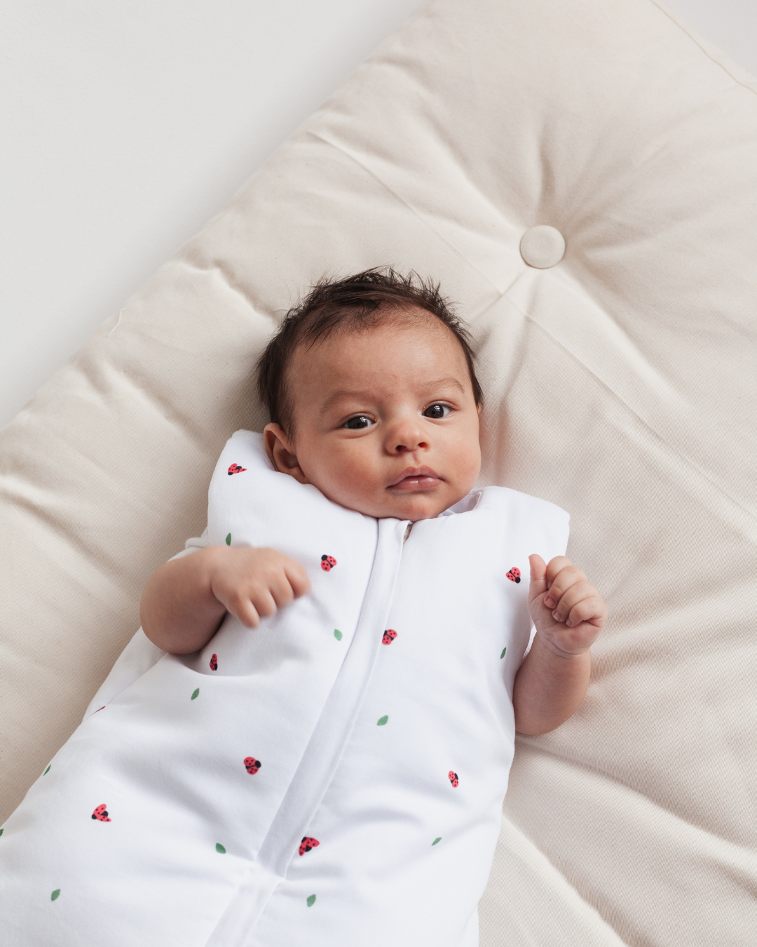 Sleeping bag 1.0 TOG 0-6 months Coccinella collection Biedronka (B2B)