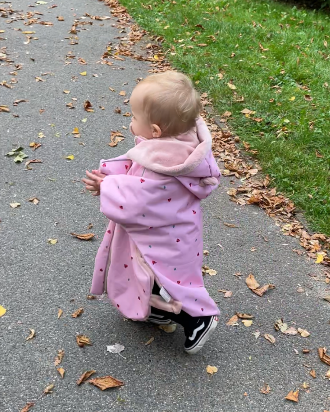 Coccinella car poncho, 75-105 cm